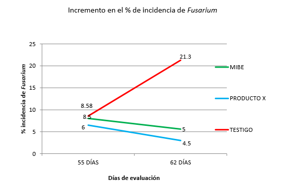 gráfica de % de incidencia de Fusarium después de aplicaciones de microorganismos benéficos